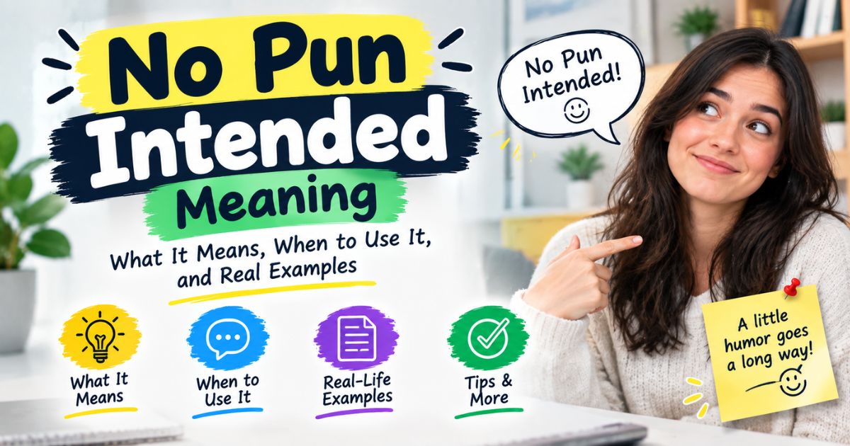 No Pun Intended Meaning