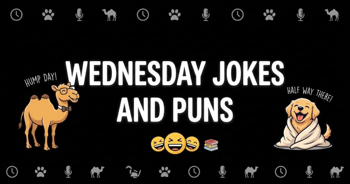 Wednesday Jokes and Puns